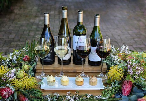 Delheim Wines | Cape Town | Wine | Things to do With Kids
