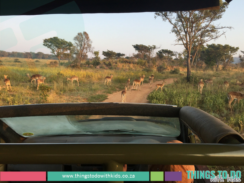 Kololo Game Reserve|Getaway|Things to do with Kids