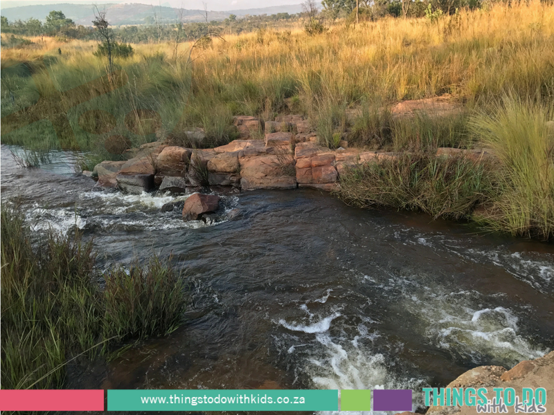 Kololo Game Reserve|Getaway|Things to do with Kids