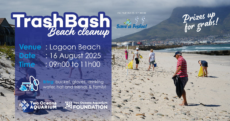 Trash Bash Beach Cleanup