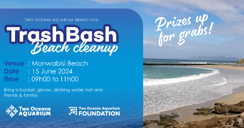 Trash Bash Beach Cleanup