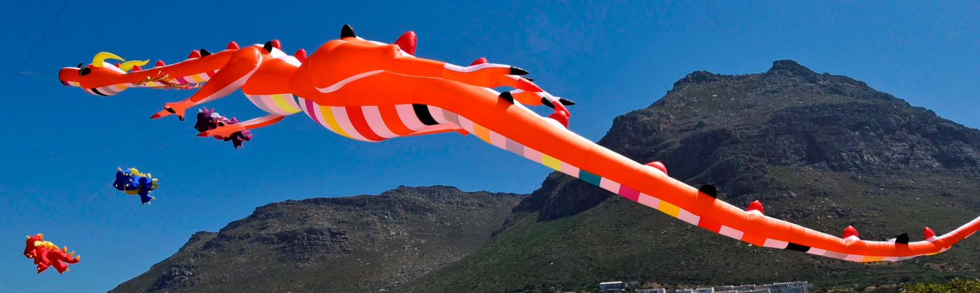 25th Cape Town International Kite Festival