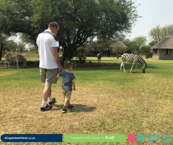 Dinokeng | Family Getaway | Things to do with Kids