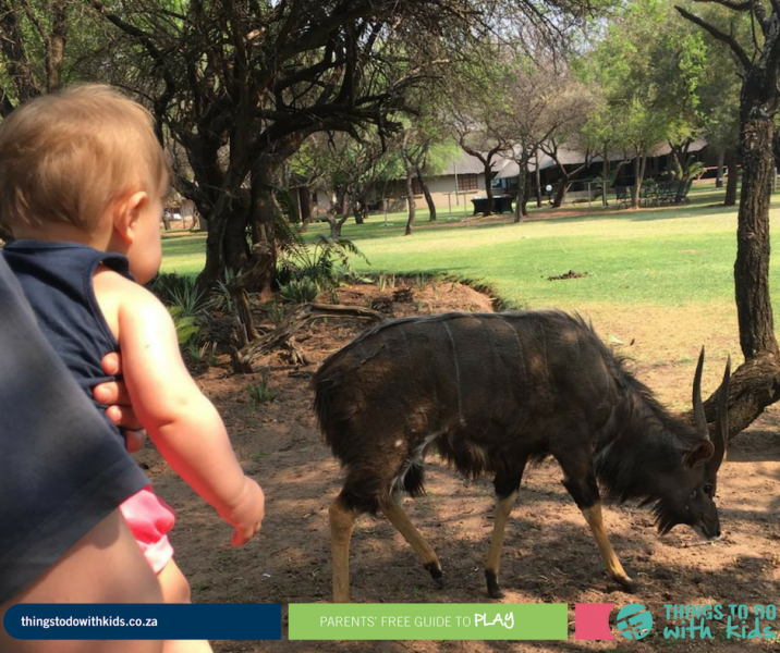 Dinokeng | Family Getaway | Things to do with Kids