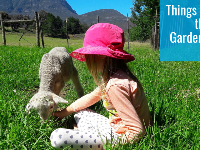 Things to do with Kids this Winter on the Garden Route