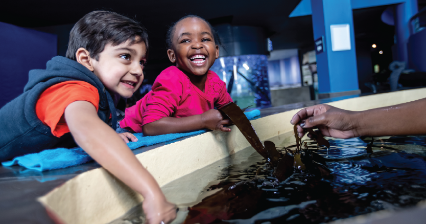 Indoor entertainment ideas Cape Town Aquarium