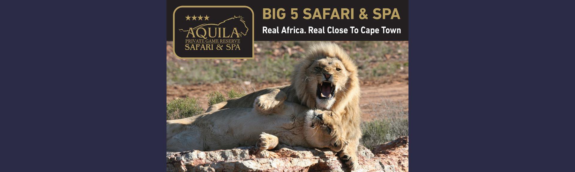 Aquila Private Game Reserve | Cape Town | Safari