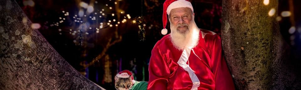 Trail Of Lights | Durban Botanical Gardens | Things to do In Durban with Kids 2019