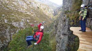 Cape Canopy Tours