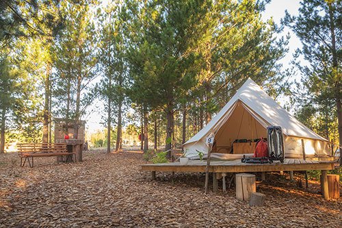 Cherry Glamping | Elgin | Things to do With Kids