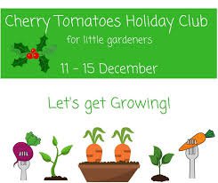 Cherry Tomatoes Holiday Club 