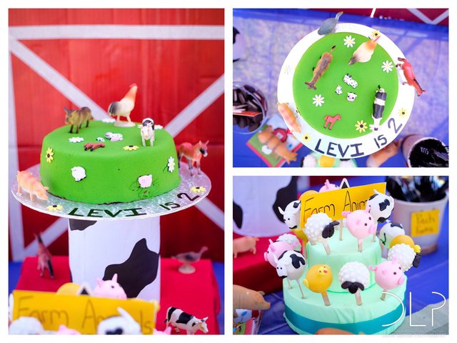 Levi turns 2 with a beautiful farmyard party theme at the family home