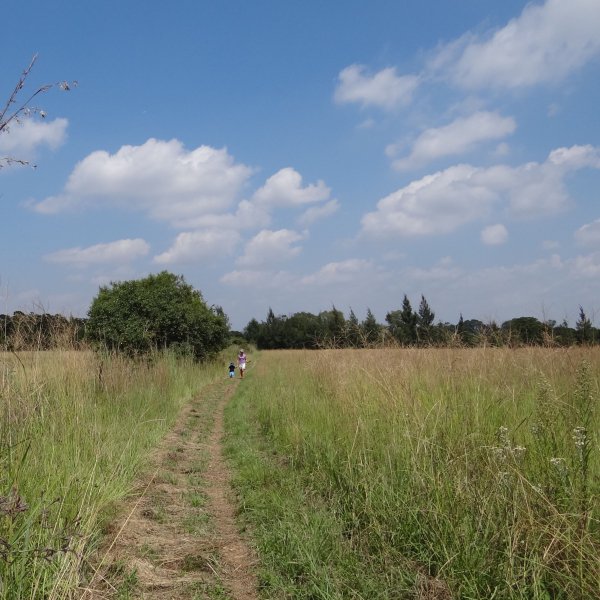 7 Outdoor Activities Near Pretoria | Hiking in Pretoria |Things to do With Kids 