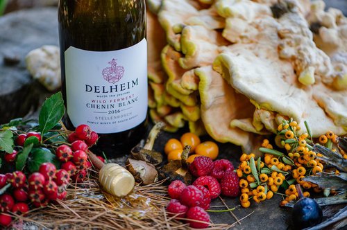 Delheim Wine Farm | Stellenbosch | Child-friendly Wine Farm