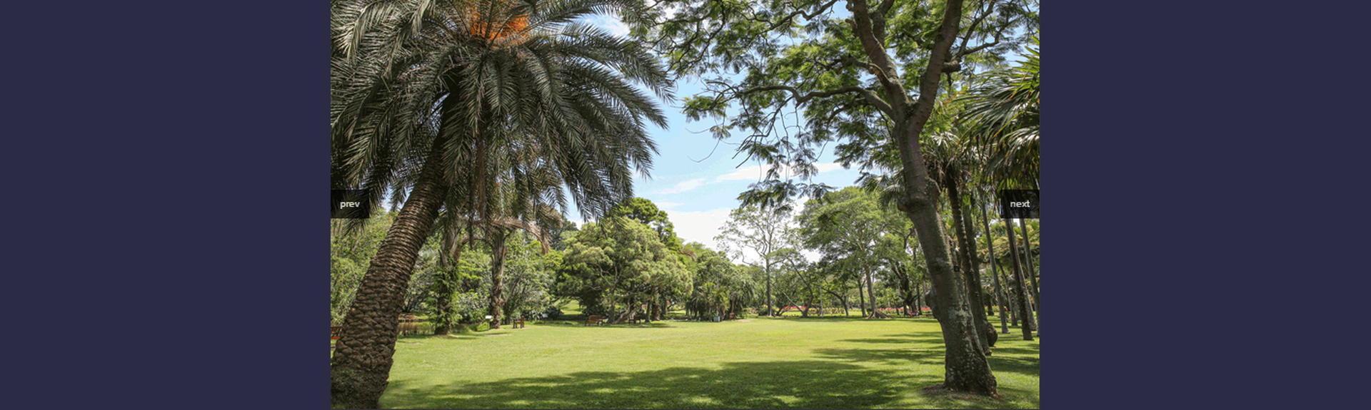 Durban Botanic Gardens|Picnic Spots|Things to do with Kids