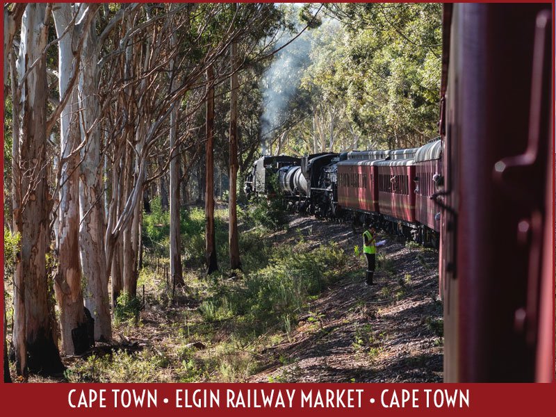Ceres Steam Train | Elgin | Things to do With Kids