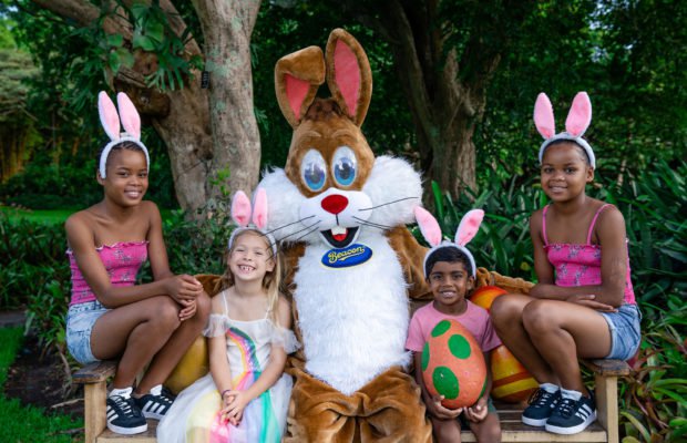 Egg Hunt brings the family together this April | Things to do With Kids