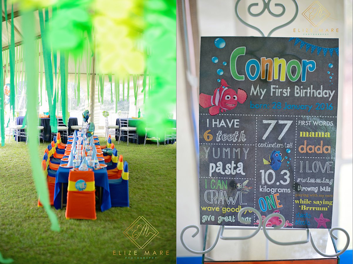 Finding Nemo Kids Party Idea| Elize Marie Photography Pretoria| To do with kids