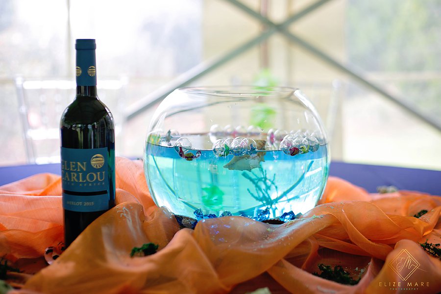 Finding Nemo Kids Party Idea| Elize Marie Photography Pretoria| To do with kids