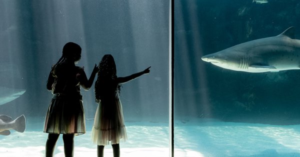 Two Oceans Aquarium