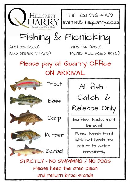Fishing | Catch & Release | Things to do with Kids 