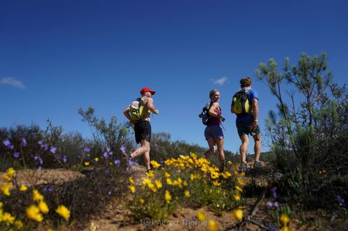 What's on Spring 2019 | Cape Town | Things to do With Kids