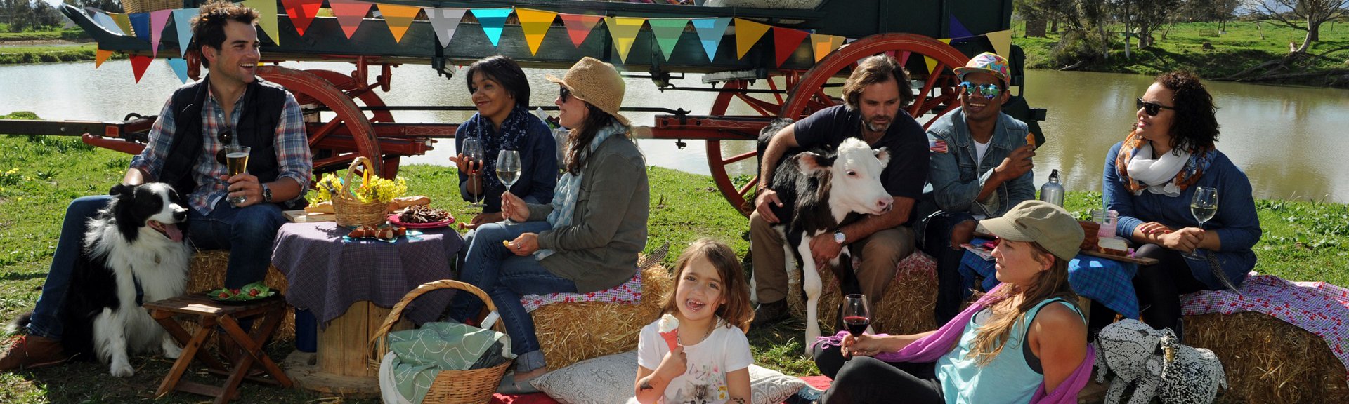 Groot Plaasproe | Stellenbosch | Special Events | Things to do With Kids