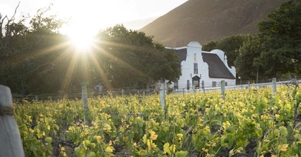 Groot Constantia Manor House