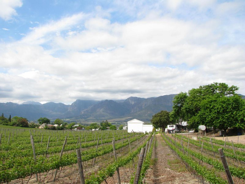 Paarl Berg, Anglo Boer monument, Taal monument , Paarl Mountain