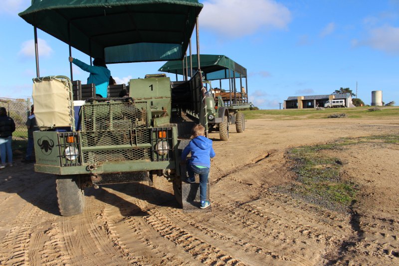 Big 5 Game Drive Safari | Explore Buffelsfontein and the Cape West Coast | Things to do with Kids