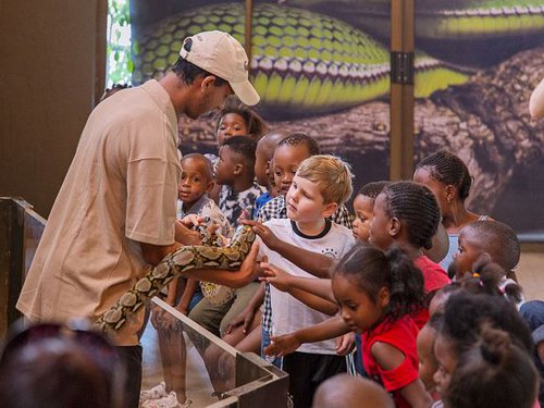 Things to do With Kids this summer 2019 | Cape Town | Things to do With Kids