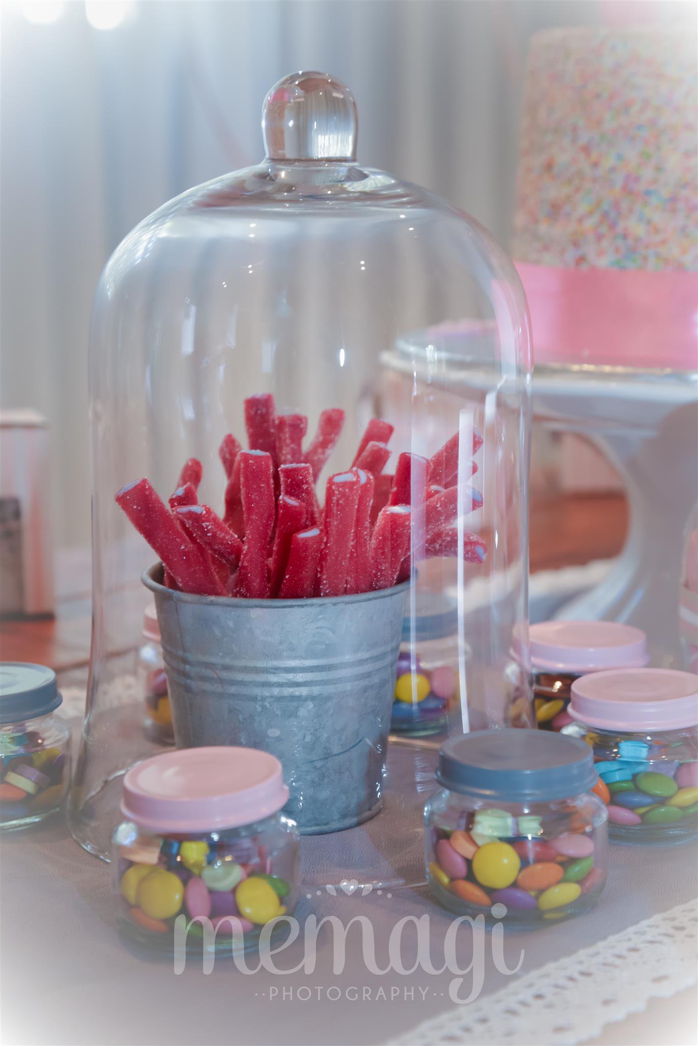 Pink Elephant Party Theme Idea| Party Photographer| Things to do with kids