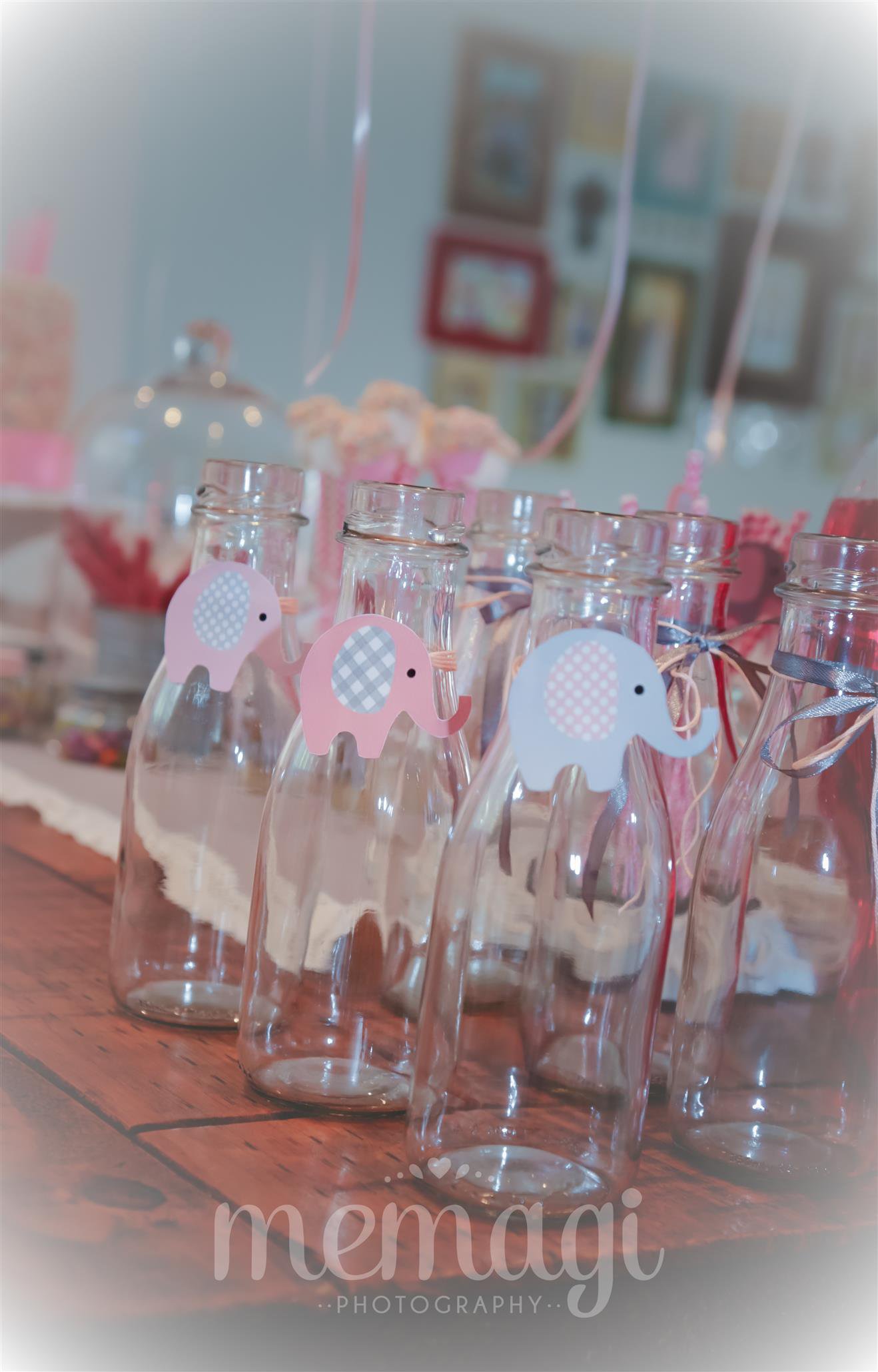 Pink Elephant Party Theme Idea| Party Photographer| Things to do with kids