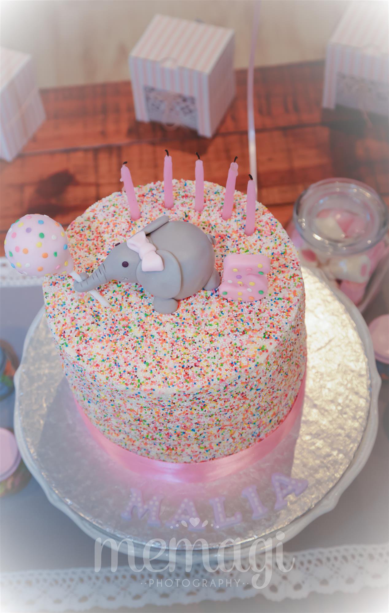 Pink Elephant Party Theme Idea| Party Photographer| Things to do with kids