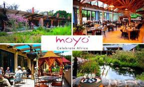 Moyo Kirstenbosch | Cape Town | Child Friendly Restaurant 