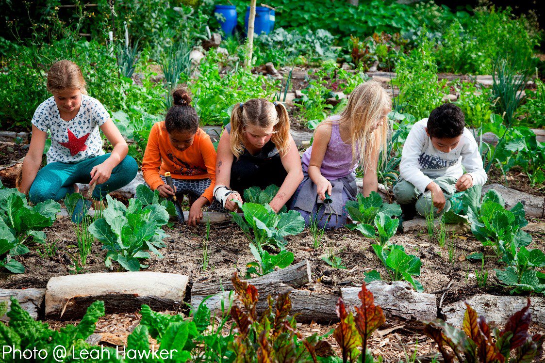 Celebrate World Soil Day at Soil for Life