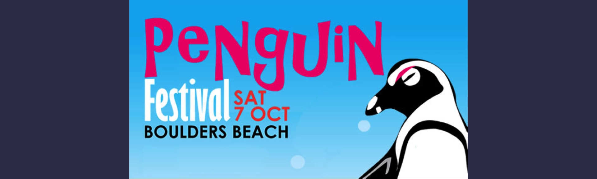 Penguin Festival - Seaforth Beach - Simon's Town - Cape Town