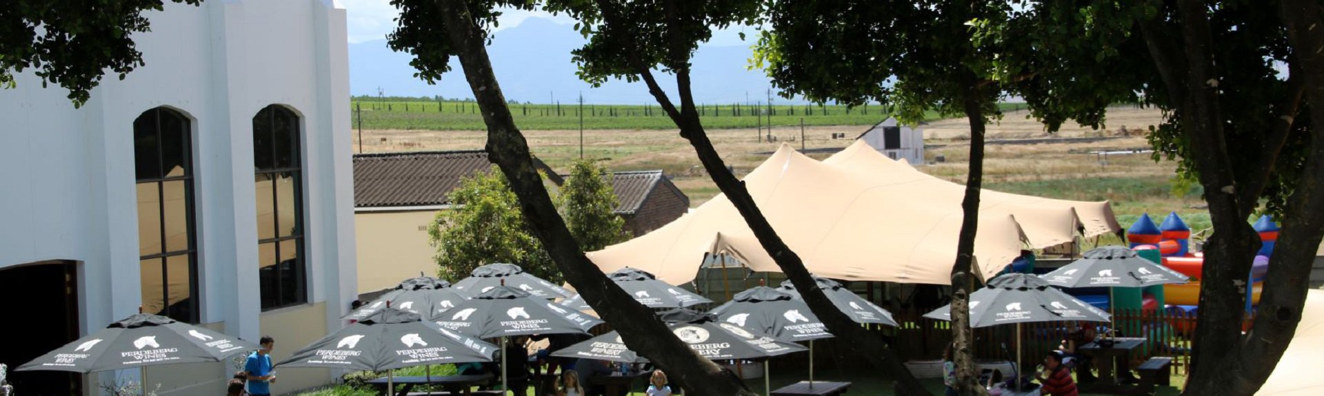 Perdeberg. Winery | Cape Town | Paarl | Things to do With Kids