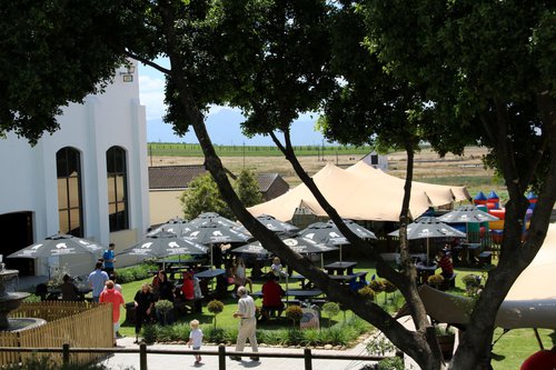 A group of people at the Perdeberg Winery. Green grass, Umbrellas and a child-friendly restaurant