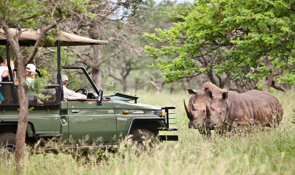 Family Friendly Safari Fun at Rhino River Lodge, South Africa