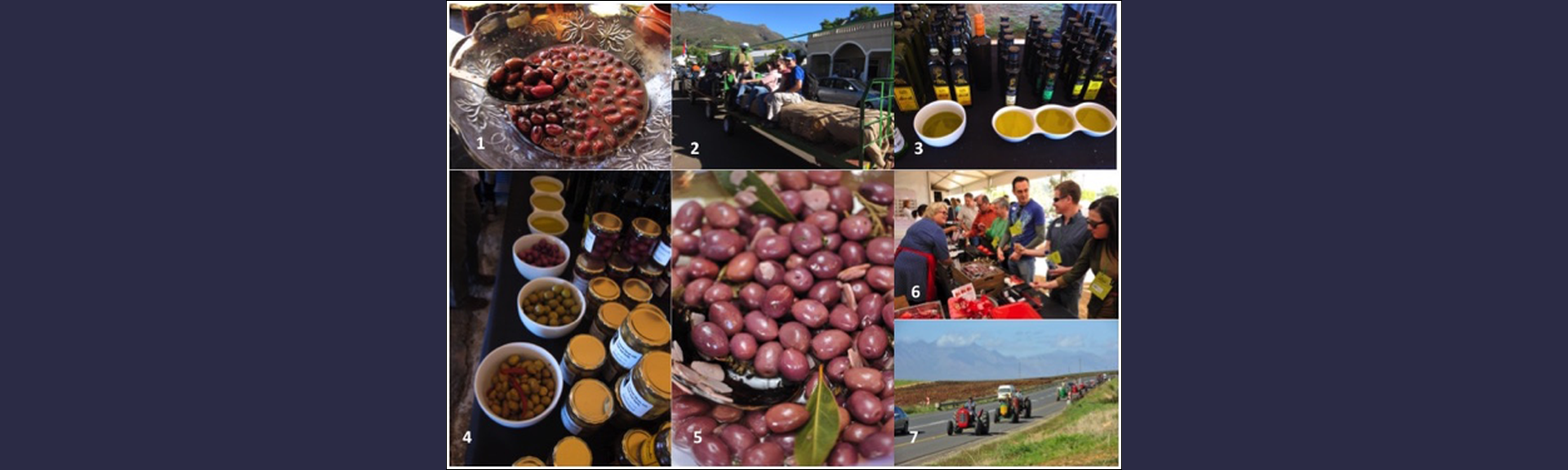 The Riebeek Valley Olive Festival