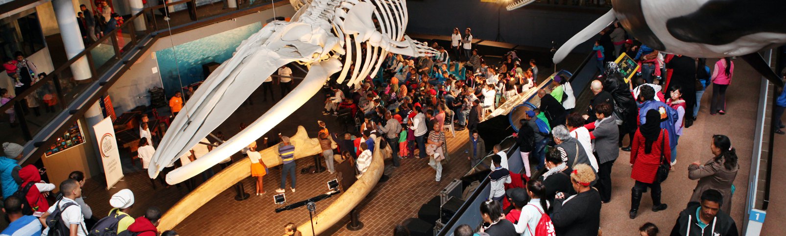 Iziko Planetarium things to do with kids for heritage day