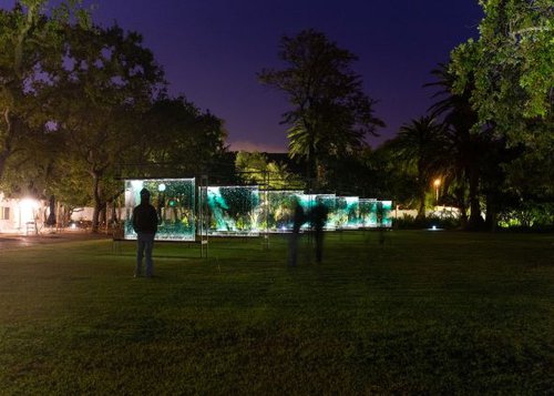Spier Light Art | Cape Town | Show | Things to do With Kids