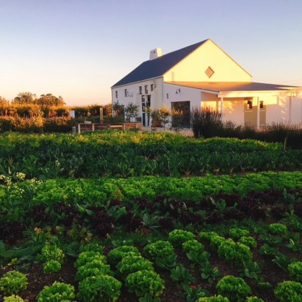 Terra Madre Farm | Elgin | Things to do With Kids