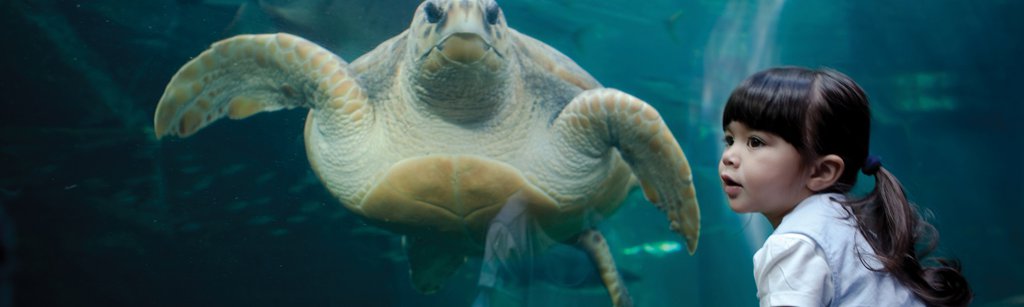 Two Oceans Aquarium and family restaurant