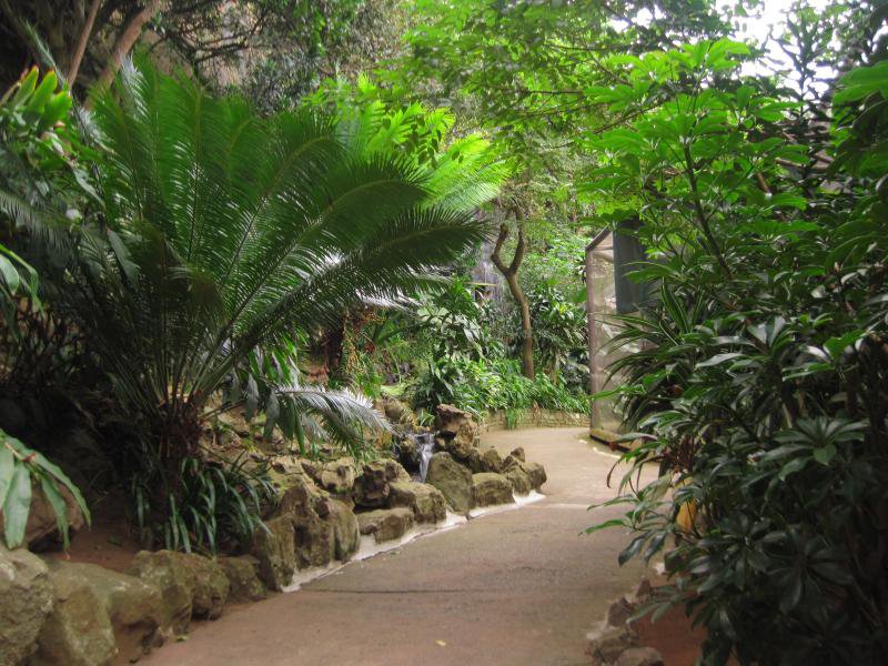 Umgeni Bird Park Website.jpg