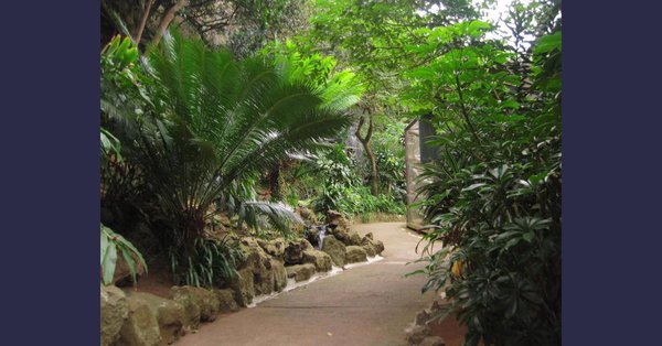 Umgeni River Bird Park
