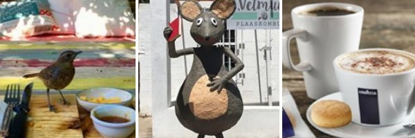 Vetmuis Padstal Plaaskombuis Richmond | Northern Cape  | Things to do With Kids