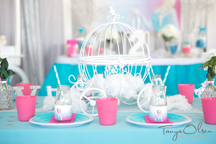 Frozen Kids Party Ideas| Tanya Olsen Photography Durban| To do with kids