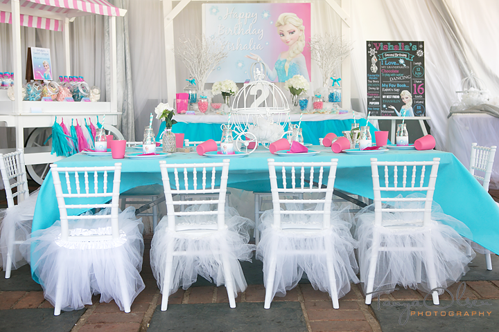 Frozen Kids Party Ideas| Tanya Olsen Photography Durban| To do with kids